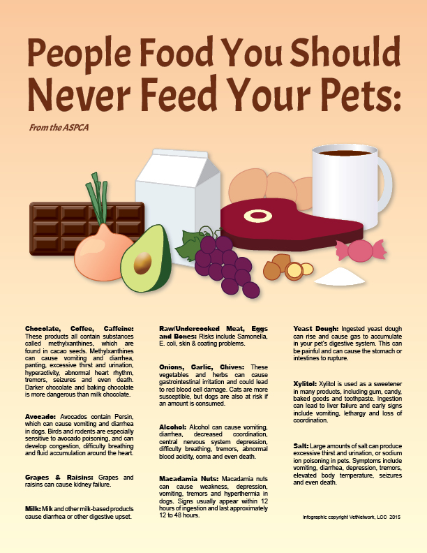 Fall Treats that are good for Dogs